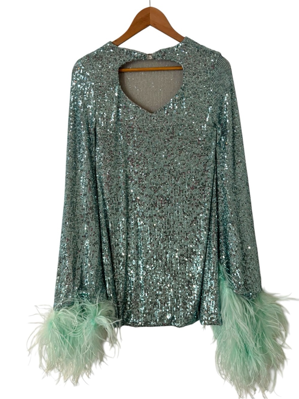 Nervi Penelope Sequin and Feather Mini Dress - Picture 3 of 4